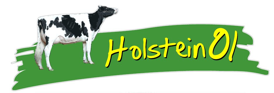 http://cibeins.fr/wp-content/uploads/2024/01/Logo-Holstein.jpg