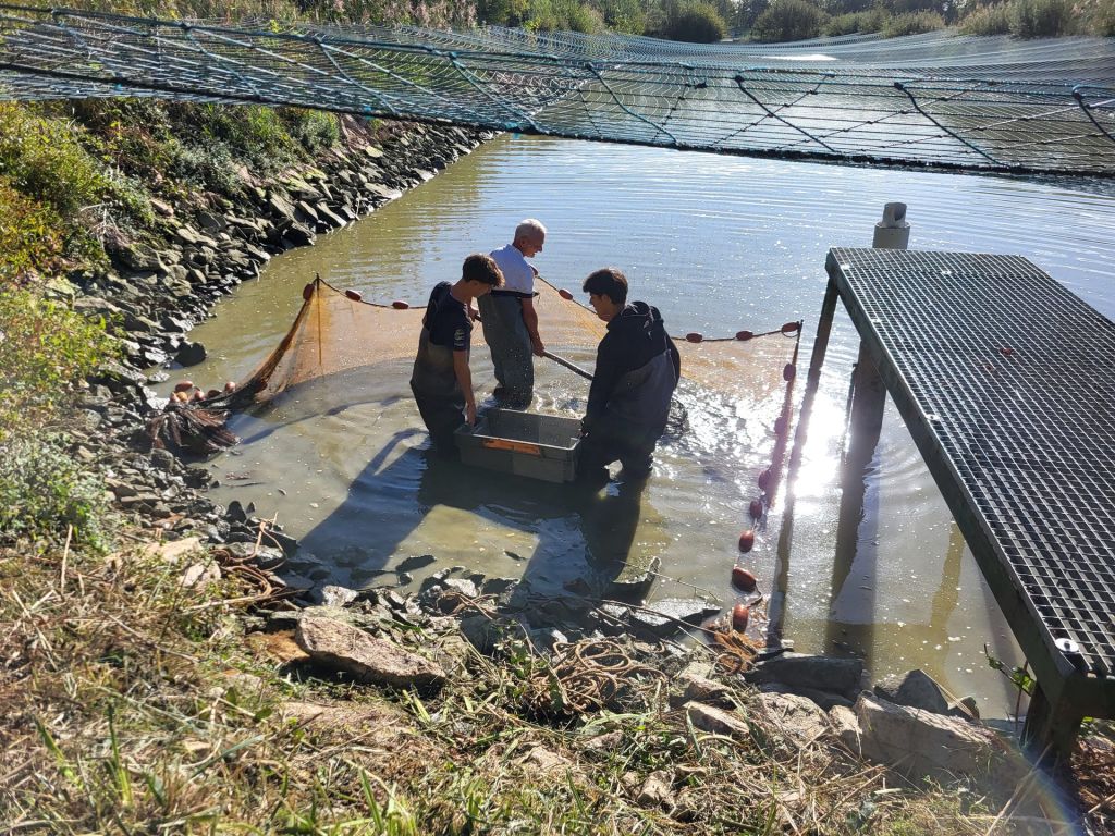 La saison des pêches a débuté