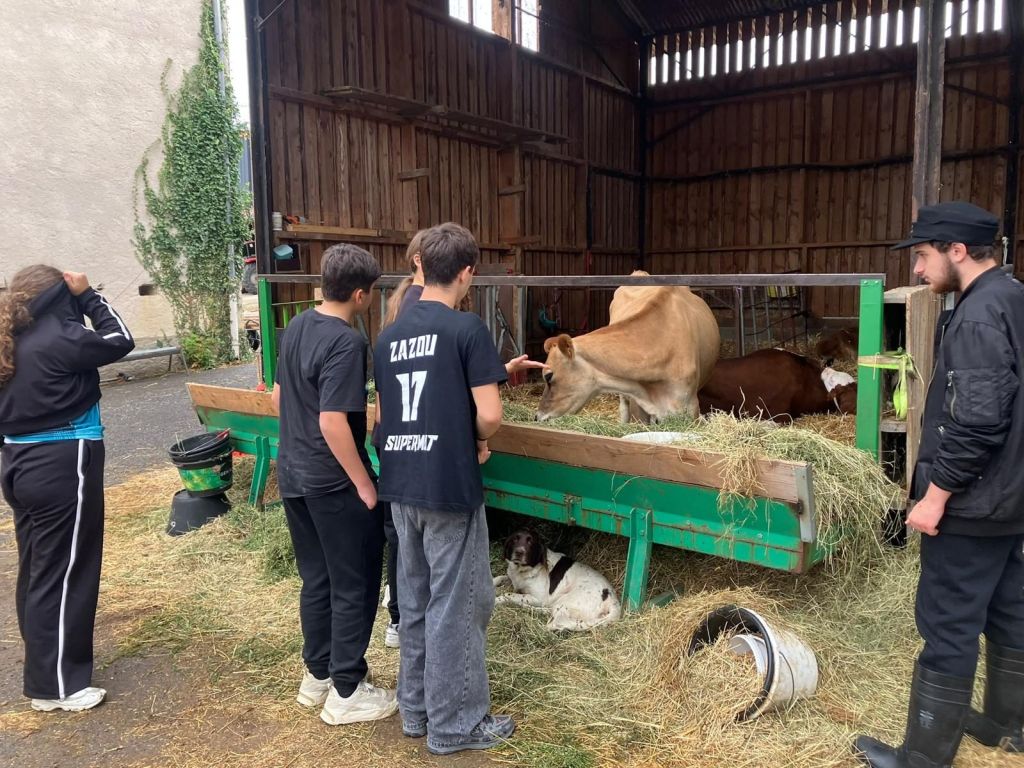 Stage d’éducation à la santé et au développement durable