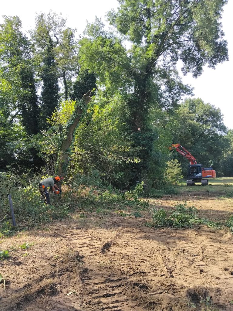 Un chantier collaboratif autour de la gestion des haies sur l’exploitation agricole de Cibeins