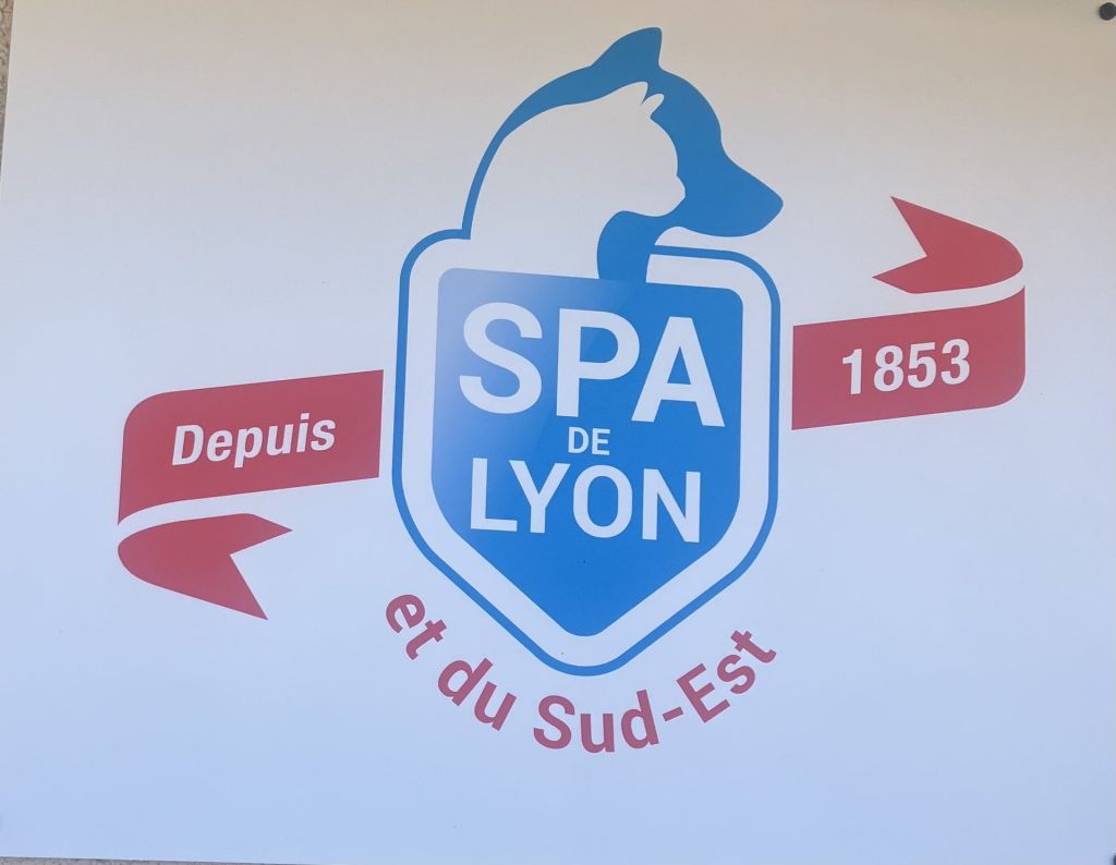 Une rencontre engagée à la SPA de Brignais !