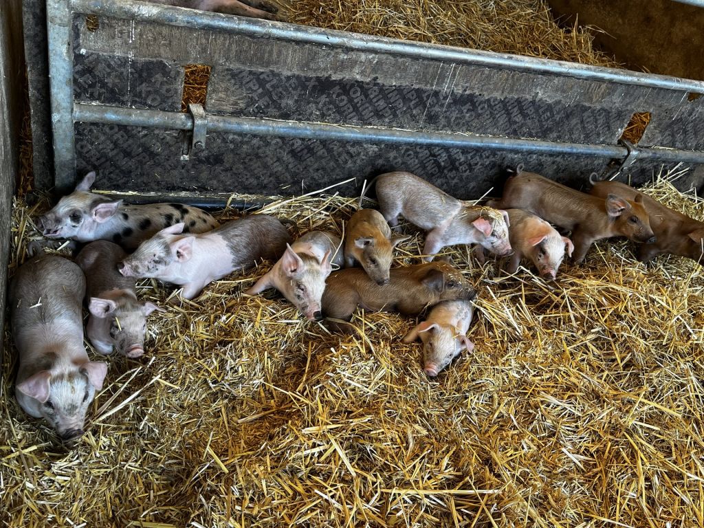 Visite pédagogique de la classe des BTSA ME2 sur l’exploitation agricole de Joseph Fray de Villeneuve