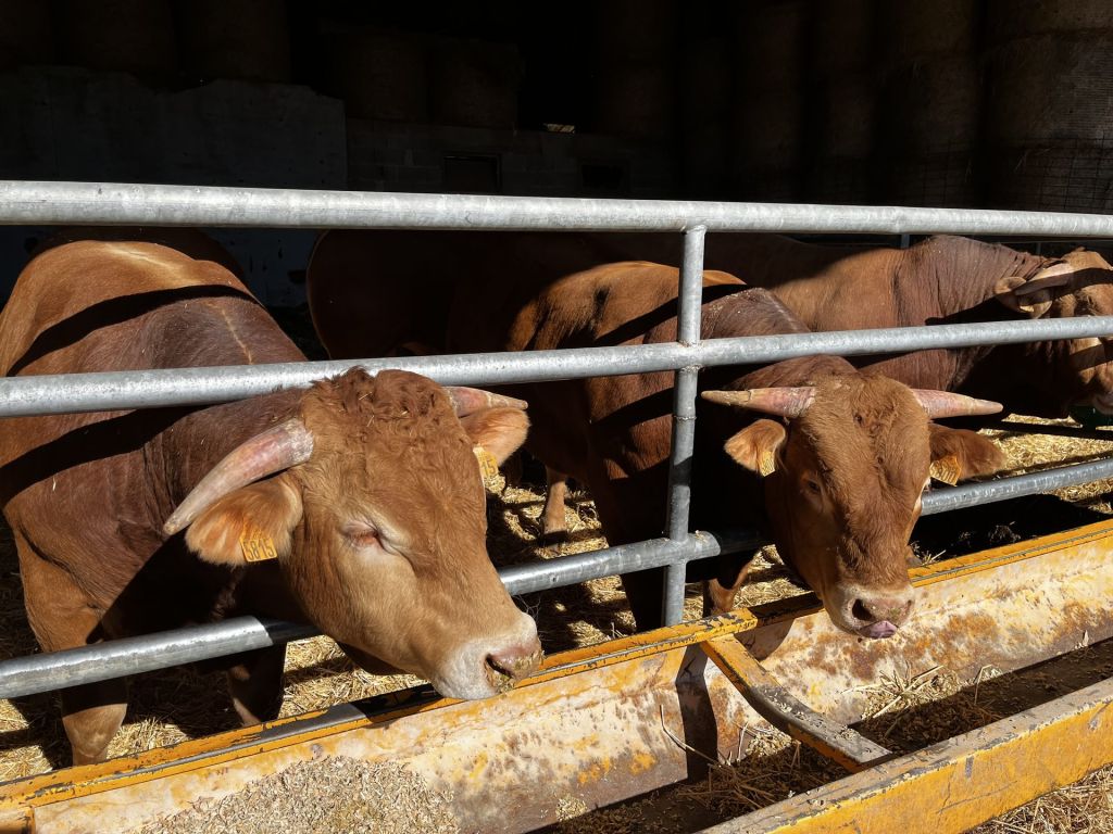 Visite pédagogique de la classe des BTSA ME2 sur l’exploitation agricole de Joseph Fray de Villeneuve
